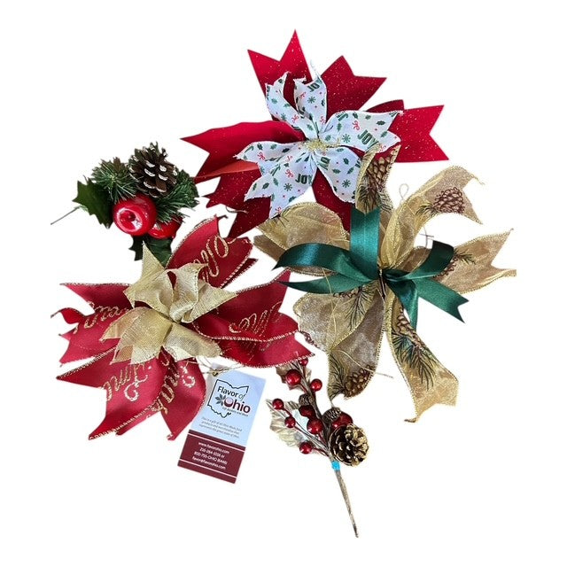 THE BEST OF OHIO IN 2025