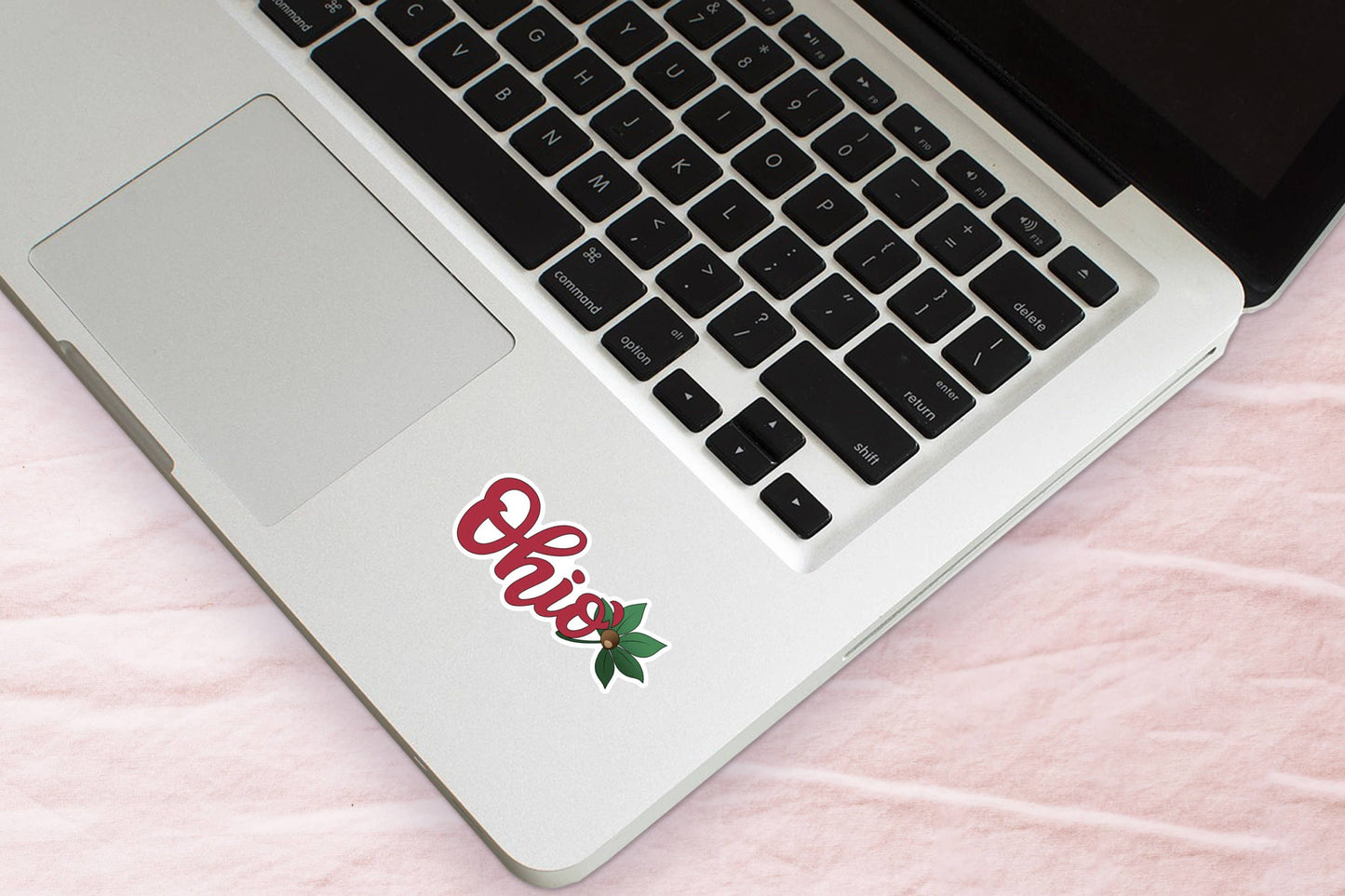 Ohio Script With Buckeye Leaf Sticker